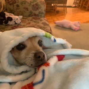 Meet your Posher, Debbie